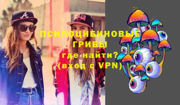 крисы Волоколамск