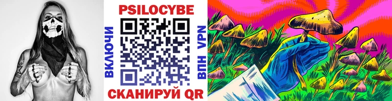 Псилоцибиновые грибы MAGIC MUSHROOMS  Кандалакша 