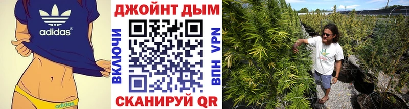 Бошки Шишки план  купить наркотики сайты  Кандалакша 